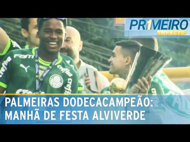 12x Palmeiras: torcida alviverde faz festa com jogadores após título