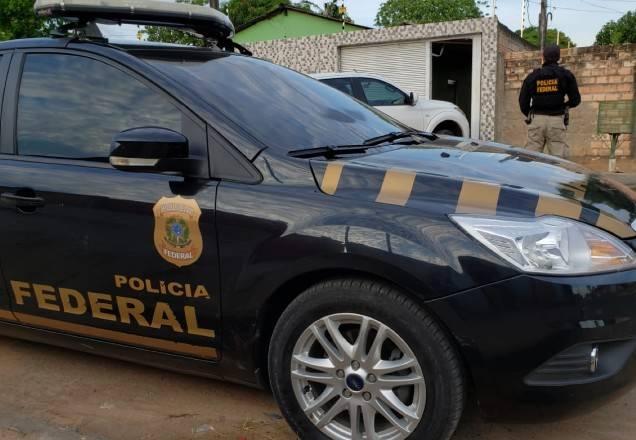 Operação combate tráfico de madeira em terras indígenas