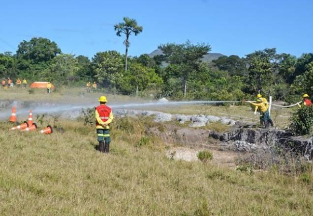 Chefe de combate a incêndio do Ibama pede demissão