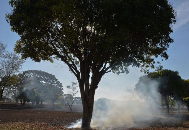 Cúpula do Clima: entenda o que é e quais serão os impactos no Brasil