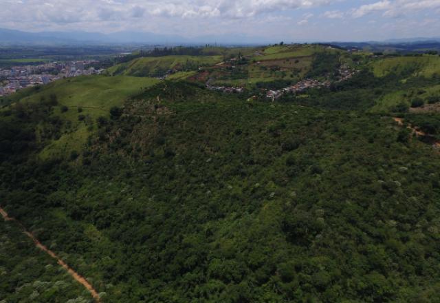 Desmatamento da Mata Atlântica cresce em dez estados