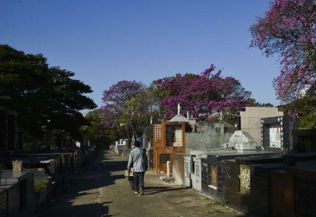 Média de mortes diárias por covid-19 cai 23,8% no mês de maio