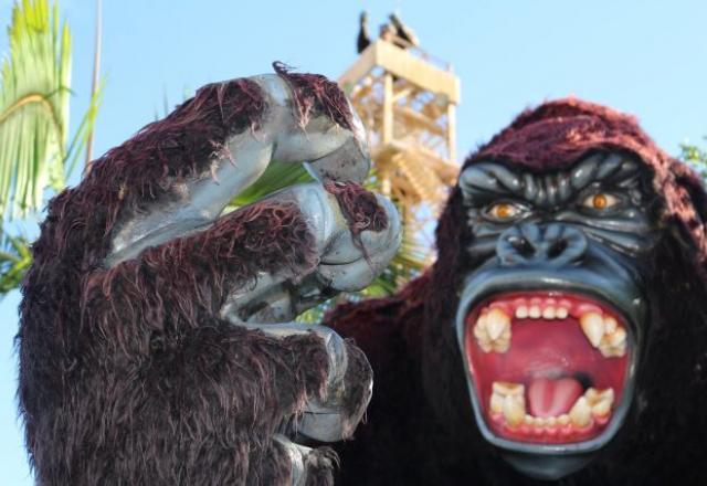 Criança fica gravemente ferida após cair de atração no Beto Carrero World