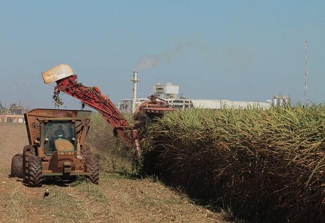 Escassez de chuva prejudica produção agrícola e pode aumentar preços