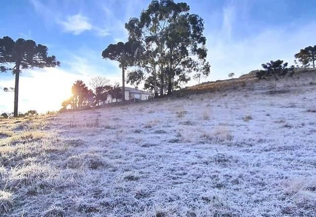 Semana começa com frio intenso e temperaturas negativas em SC