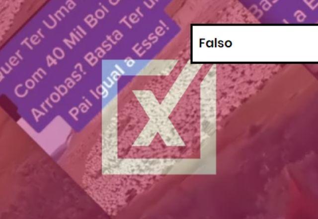 FALSO: Vídeo não é de fazenda de filho do Lula e mostra ovelhas, não bois