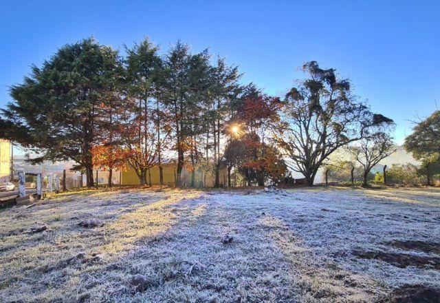 SC amanhece pelo segundo dia com temperatura abaixo de 0ºC; veja previsão