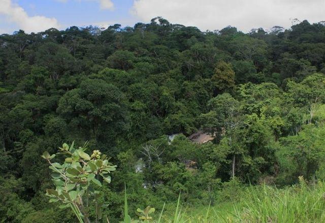 Chuva moderada deve atingir Grande Recife e Zona da Mata pernambucana