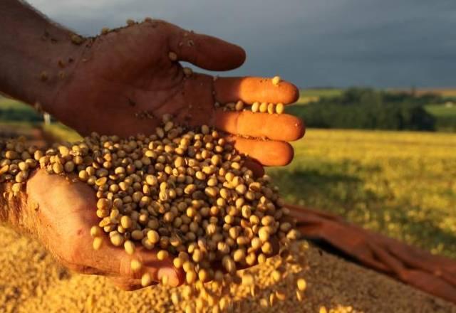 Mudanças do clima derrubam previsão do PIB Agropecuário 