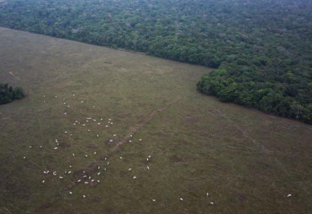 Ministério da Economia pede que Meio Ambiente afrouxe regras