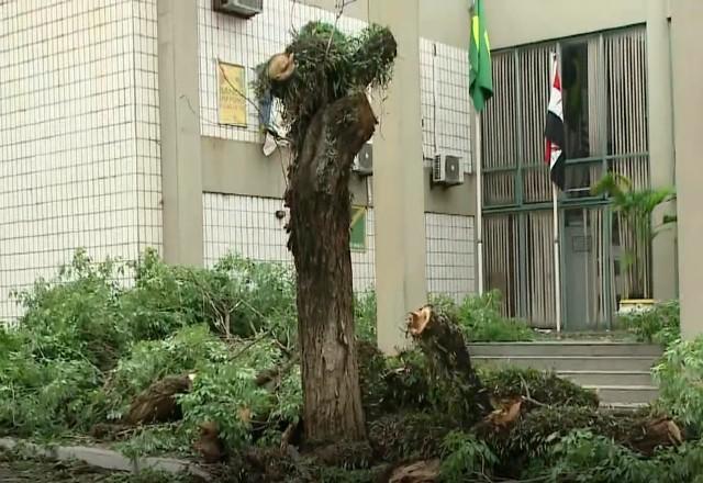 Pirassununga (SP) fica parcialmente destruída após temporal