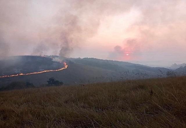 Polícia prende três suspeitos de causar incêndio que atingiu parque em SP