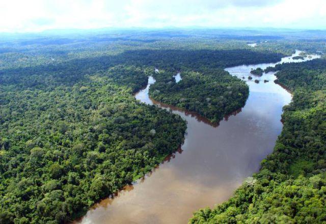 COP26: Líderes mundiais assinam nesta 3ª declaração para proteger florestas