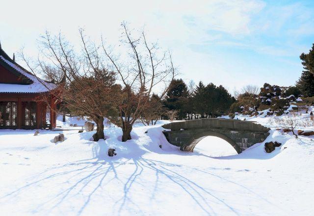 Nordeste da China tem recorde de neve durante início de novembro