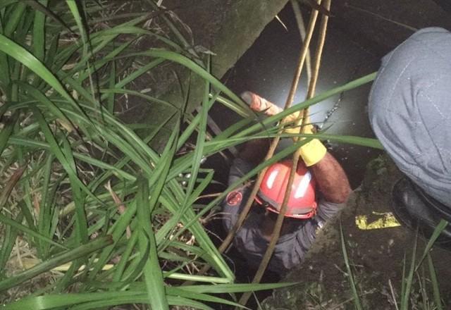 Uma mulher e duas crianças desaparecem após forte chuva em São Paulo