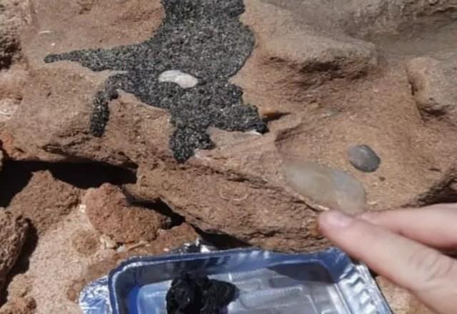 Manchas de óleo nas praias do Ceará são tóxicas para a vida marinha