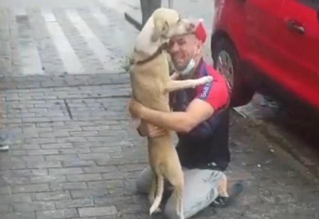 Cachorrinha Pandora é encontrada 45 dias após fugir em aeroporto