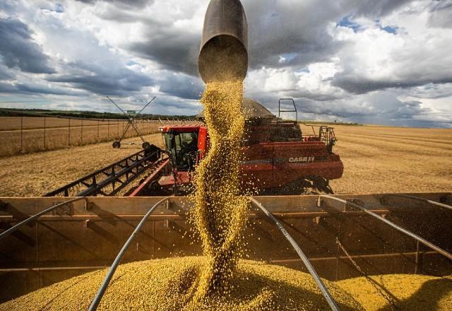 Agronegócio fecha janeiro com saldo positivo de US$ 7,7 bilhões