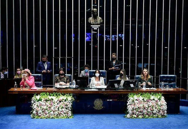 Senado aprova diversos projetos em benefício das mulheres