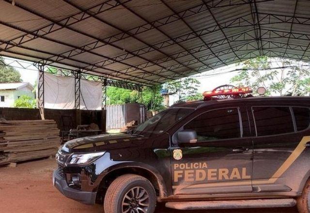 PF combate desmatamento e extração ilegal de madeira no Tocantins