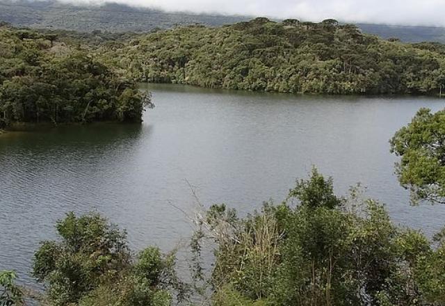 20% dos rios da Mata Atlântica são impróprios para consumo e agricultura