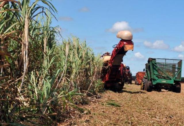 Previsão de crescimento da agropecuária brasileira recua para 1%