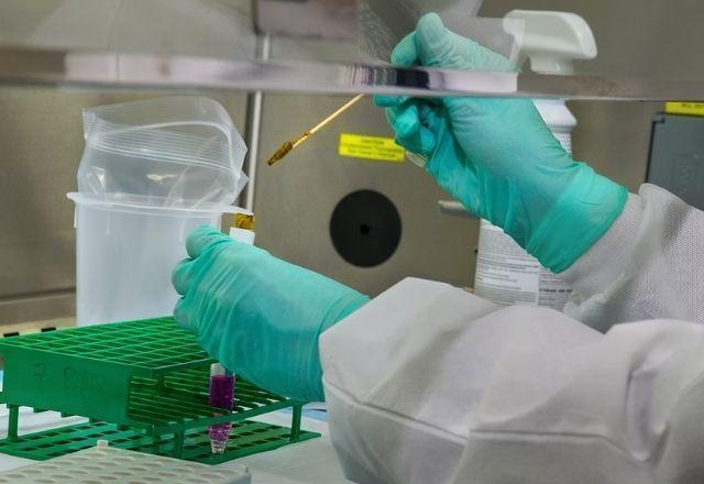 Laboratório identifica subvariante inédita em criança de São Paulo