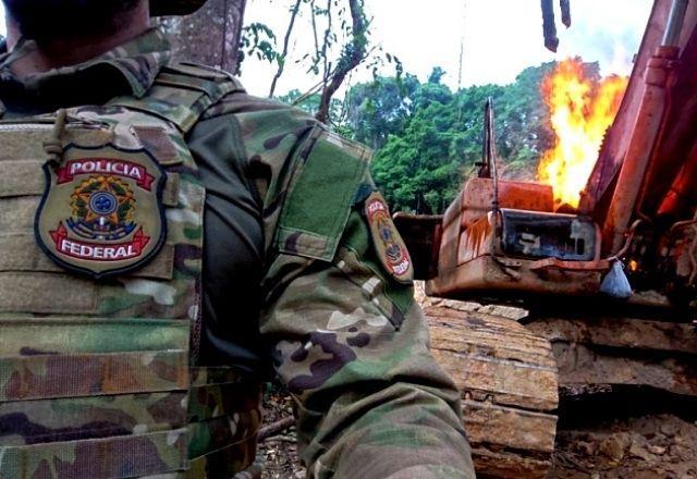 PF intensifica ação contra crimes ambientais, e em de terras indígenas