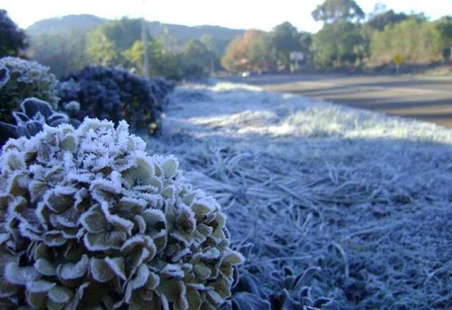 Cidades do sul devem amanhecer com geada e temperaturas negativas