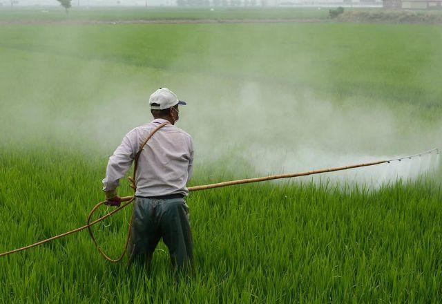 "Exploração e ameaça", dizem ambientalistas sobre projetos no Congresso