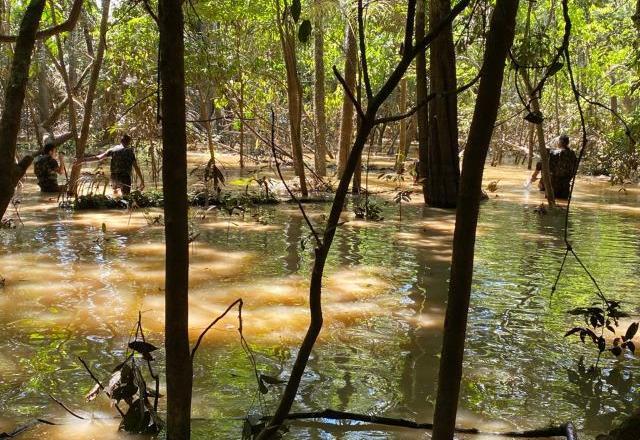 Exclusão de mando de crime no AM deixa em alerta delegados experientes