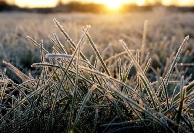 Inverno começa nesta 3ª; ao menos quatro ondas de frio são esperadas