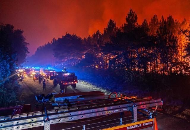 Em meio a onda de calor na Europa, ONU pede ação para evitar "suicídio coletivo"