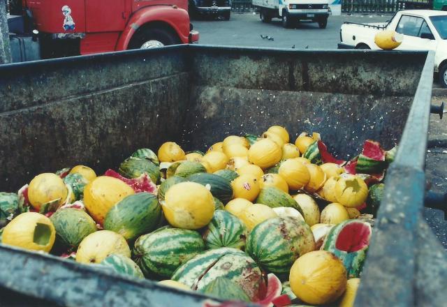 Comida desperdiçada a cada ano poderia alimentar 1,26 bilhão de pessoas