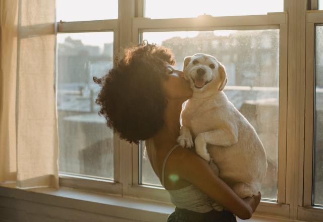 Pesquisa aponta que cachorros choram ao reencontrar donos