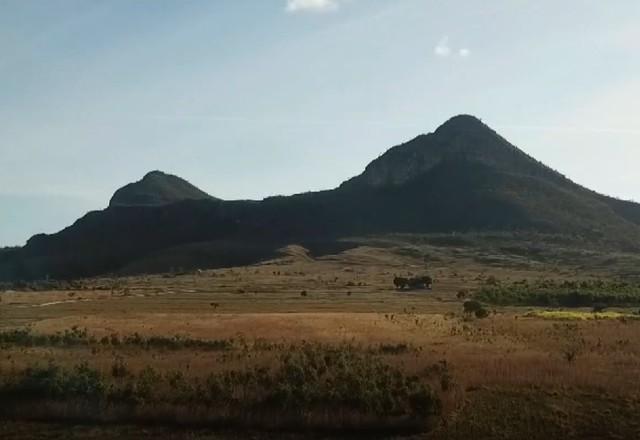 Cerrado: Mais de dois mil hectares foram desmatados por dia em 2022