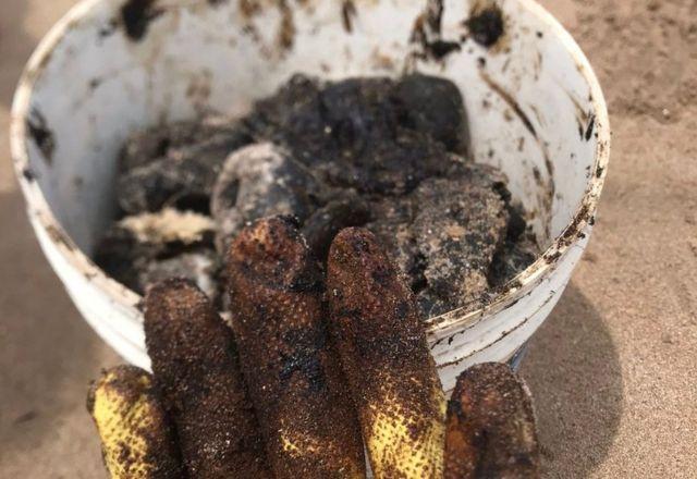 Óleo encontrado em praias do Nordeste não tem ligação com vazamento de 2019