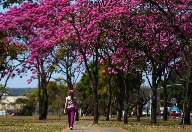 Com clima incomum para estação, primavera começa nesta 5ª feira