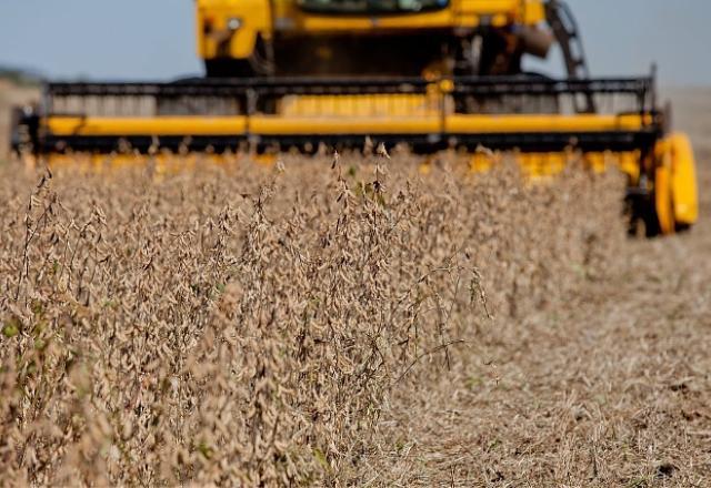 Bahia pode ter mais 200 km de ferrovias para escoar produção agro