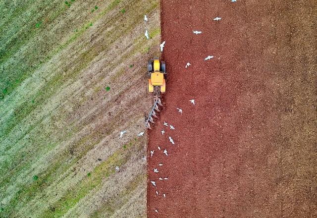 Vegetação natural diminui 513 mil km²; área agrícola, 230 mil km² a mais