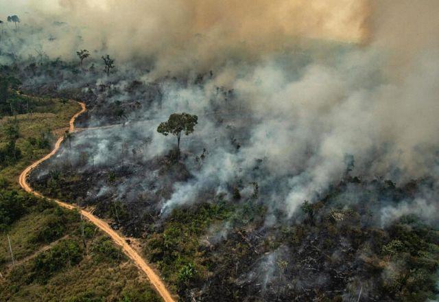 Taxa de emissão de gases de efeito estufa registra maior alta em 19 anos