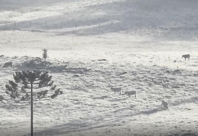 Cidade de SC registra segunda temperatura negativa em 68 anos