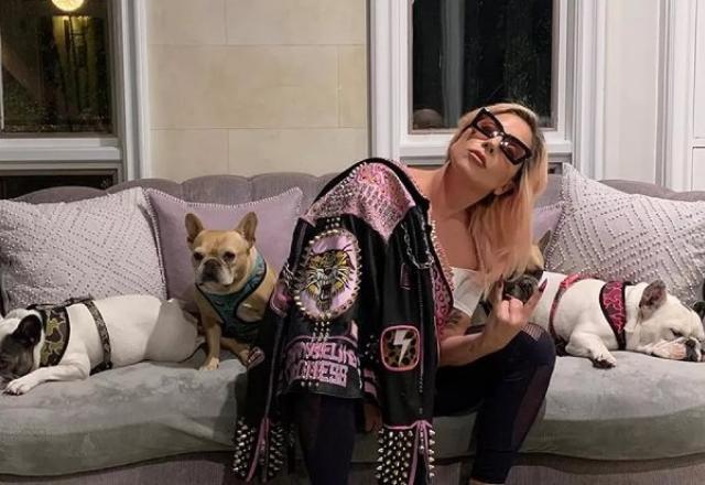 Homem que baleou passeador e roubou cães de Lady Gaga é condenado nos EUA