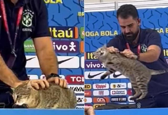 Gato rouba cena em entrevista coletiva de Vini Jr, e internet reage