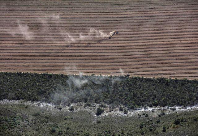 Desmatamento no Cerrado registra crescimento de 25% em um ano