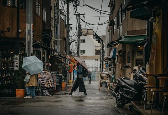 Japão: nevasca causa morte de 17 pessoas