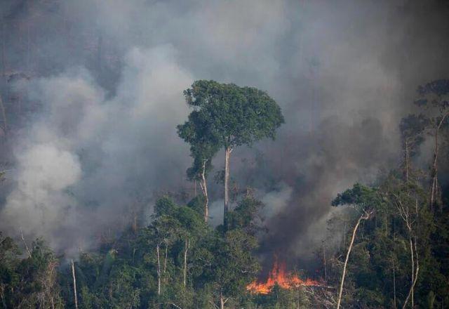 Queimadas em novembro quase dobram em relação ao ano passado