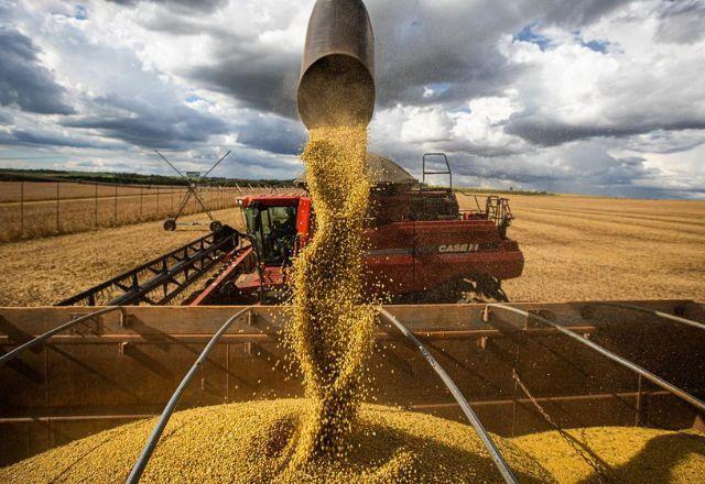 Liberações de agrotóxicos terão que ser "revisitadas", diz novo ministro