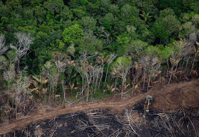 Funai revoga norma que liberou extração de madeira em terras indígenas