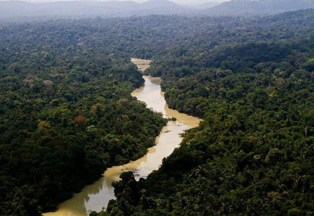 Marina e ministra do governo da Alemanha falam sobre Fundo Amazônia